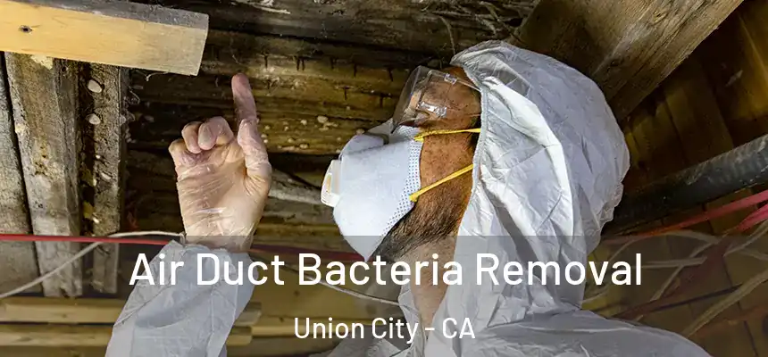  Air Duct Bacteria Removal Union City - CA
