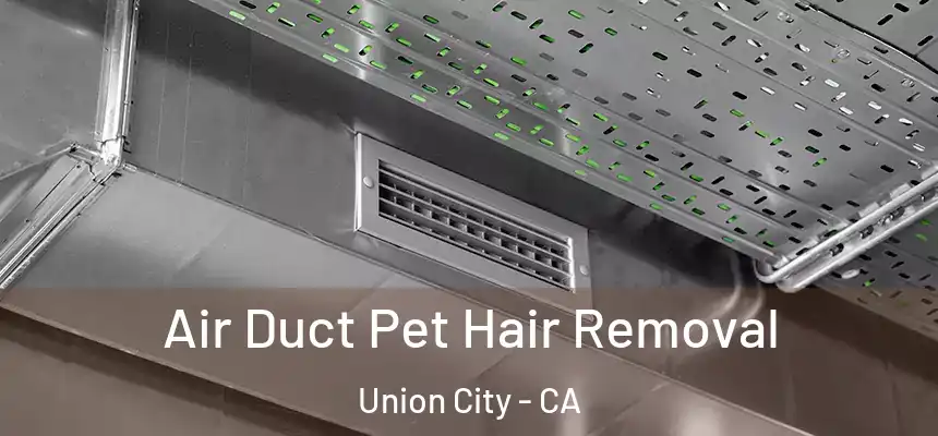 Air Duct Pet Hair Removal Union City - CA