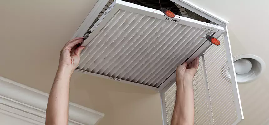 Our Insect Removal from Air Ducts Services in Union City, CA