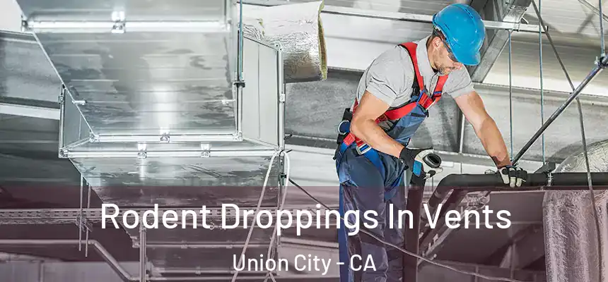 Rodent Droppings In Vents Union City - CA