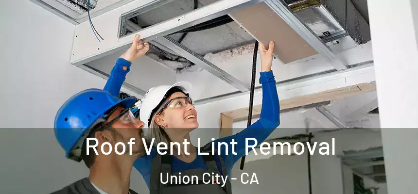 Roof Vent Lint Removal Union City - CA