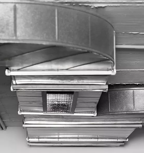 Professional Air Duct Pet Hair Removal in Union City, CA