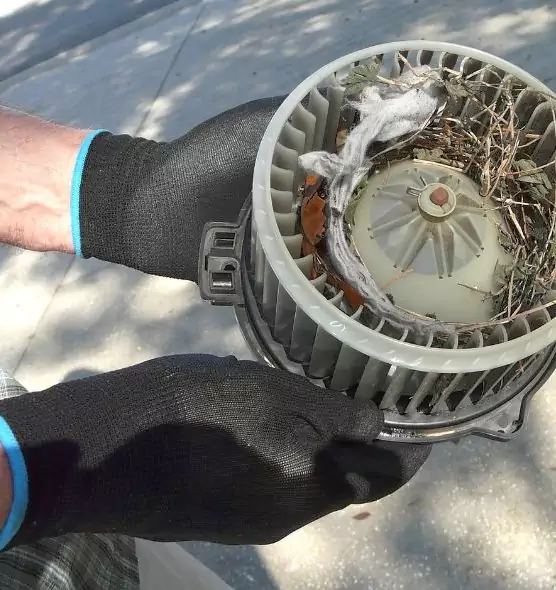 About Air Duct Rat Removal in Union City, CA