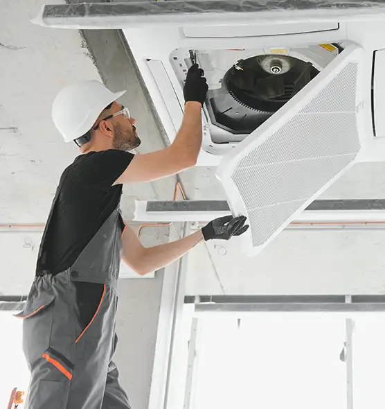 About Air Duct Rodent Removal in Union City, CA