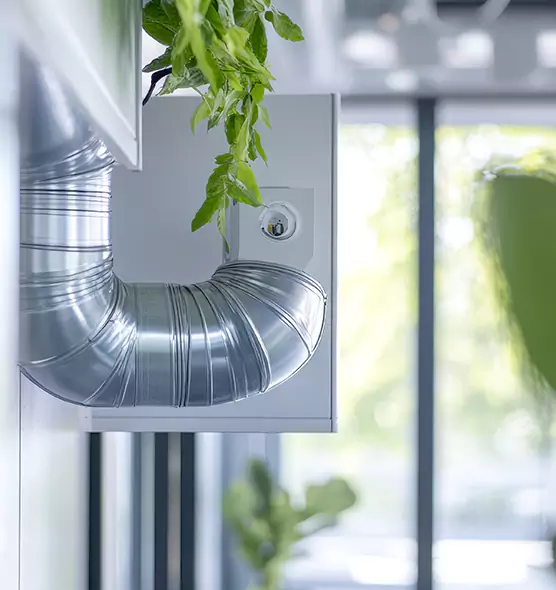 Professional Eco-Safe Dryer Vent Cleaning in Union City, CA