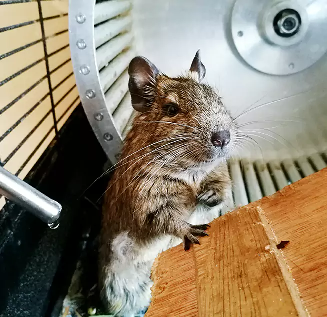 Why Homeowners & Businesses Trust Us Union City, CA