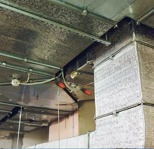 Why Homeowners & Businesses Trust Us Union City, CA?