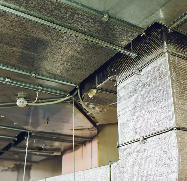 Why Homeowners & Businesses Trust Us in Union City, CA?